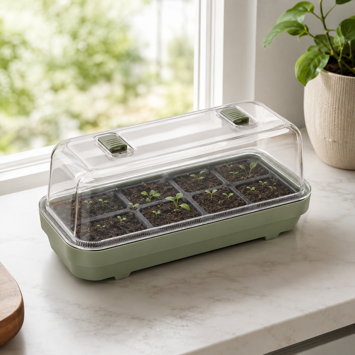 SeedNest Propagation Station